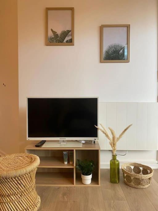 The Jungle Studio, Loggia & Parking Dans Residence Romans-sur-Isère Eksteriør billede